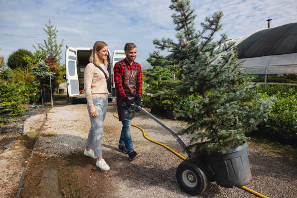 Best Tree and Shrub Care  in Salem, VA